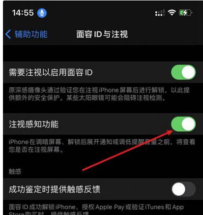习水苹果14维修网点分享iPhone14注视感知功能有什么用 
